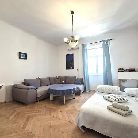 Center Alenka *